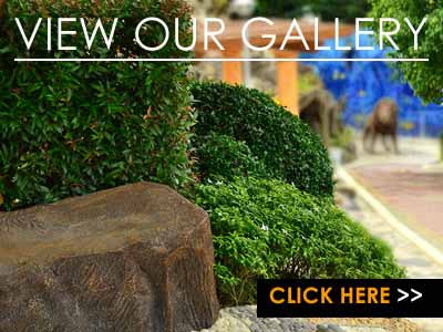 Check our Gallery